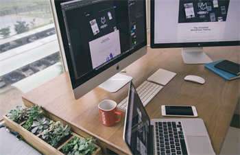 探秘五指山下的天涯社区：这里用户稳如泰山yyds！ 第1张